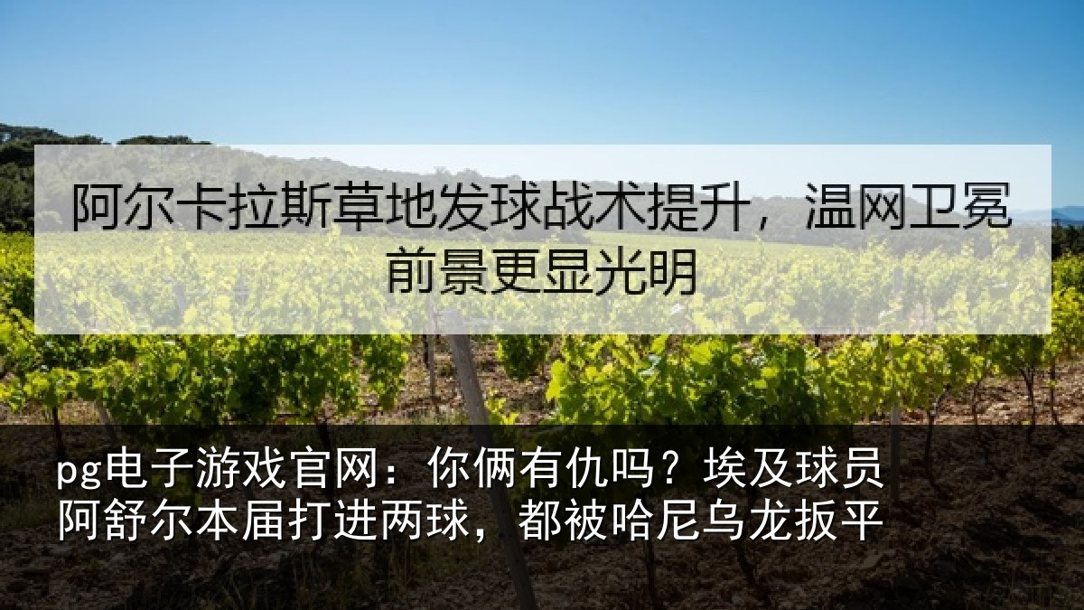 pg电子游戏官网:你俩有仇吗?埃及球员阿舒尔本届打进两球,都被哈尼乌龙扳平