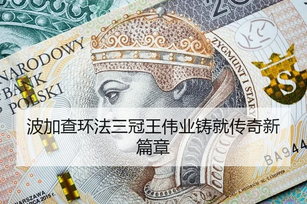 bo-jia-cha-huan-fa-san-guan-wang-wei-ye-zhu-jiu-chuan-qi-xin-pian-zhang-2-547.jpg