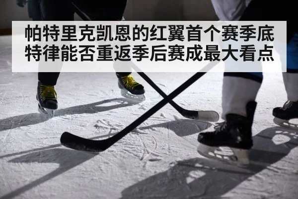 帕特里克凯恩的红翼首个赛季底特律能否重返季后赛成最大看点