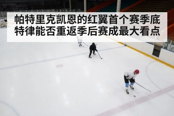 ice hockey game